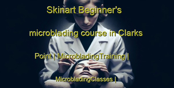 Skinart Beginner's microblading course in Clarks Point | MicrobladingTraining | MicrobladingClasses | SkinartTraining-United States